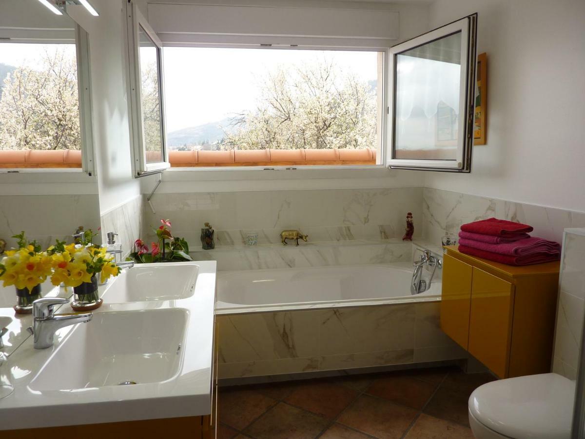 Les Terrasses De Bellemoure Cebazat Cebazat